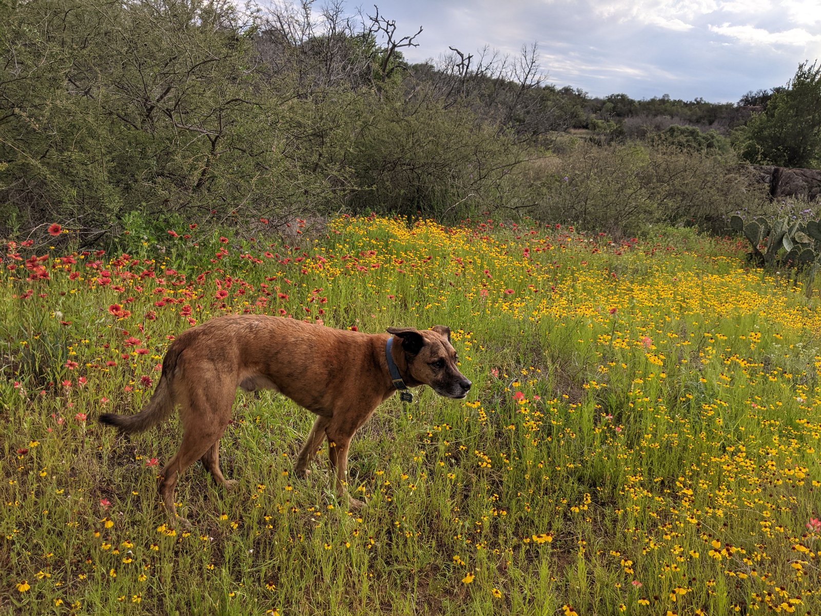 PXL 20210417 231459982