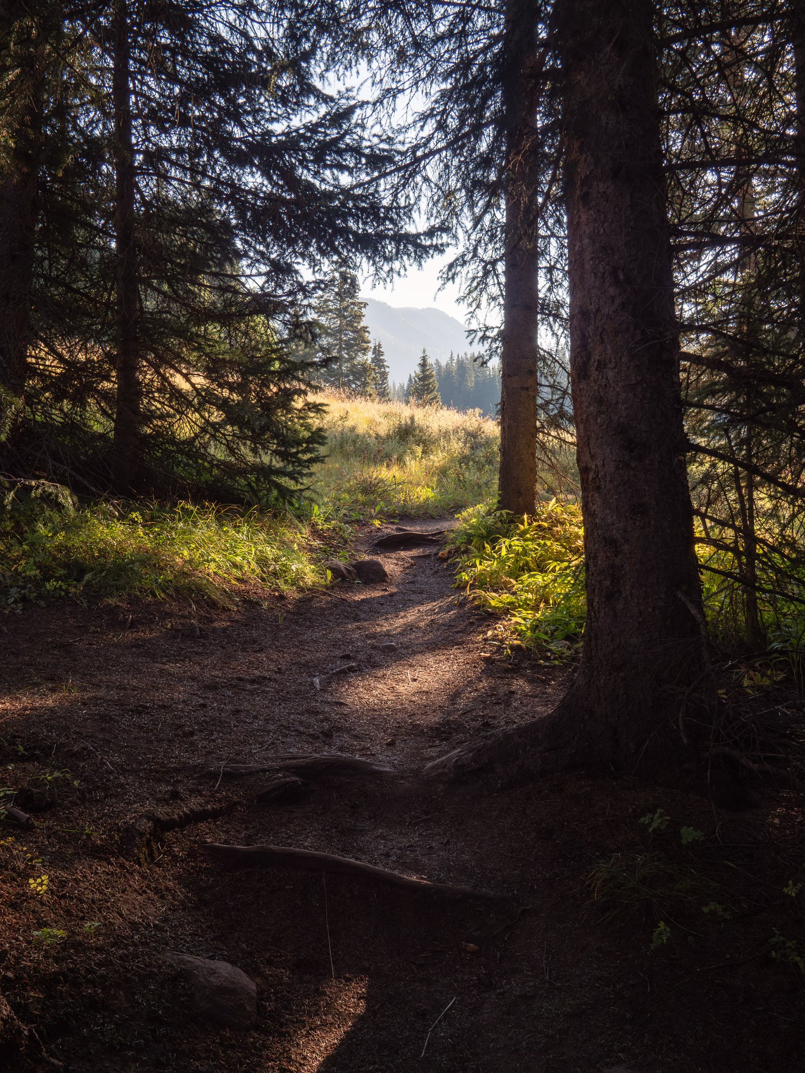 ArrowPeak2024web072625 