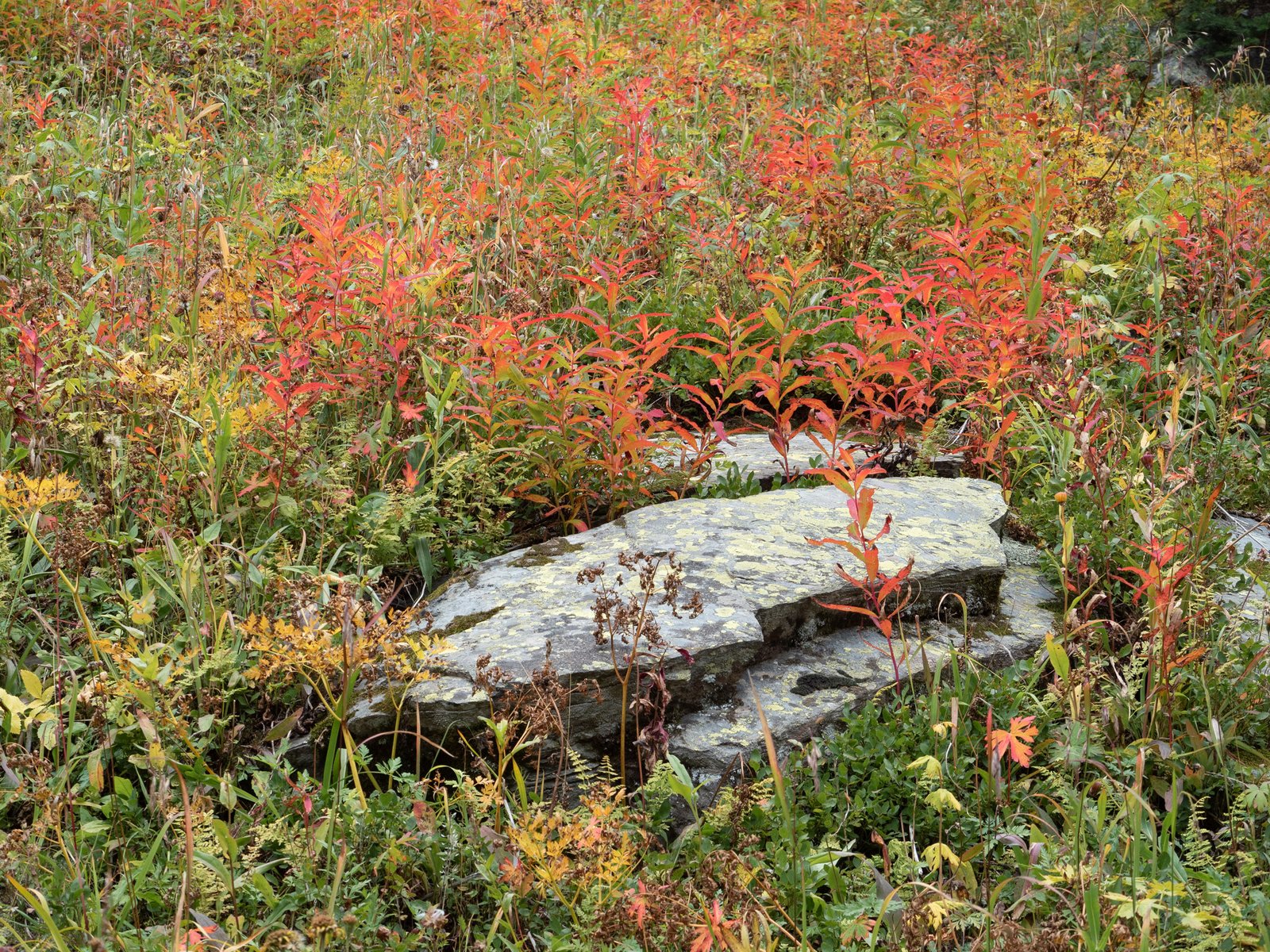 ArrowPeak2024web072625 9077402