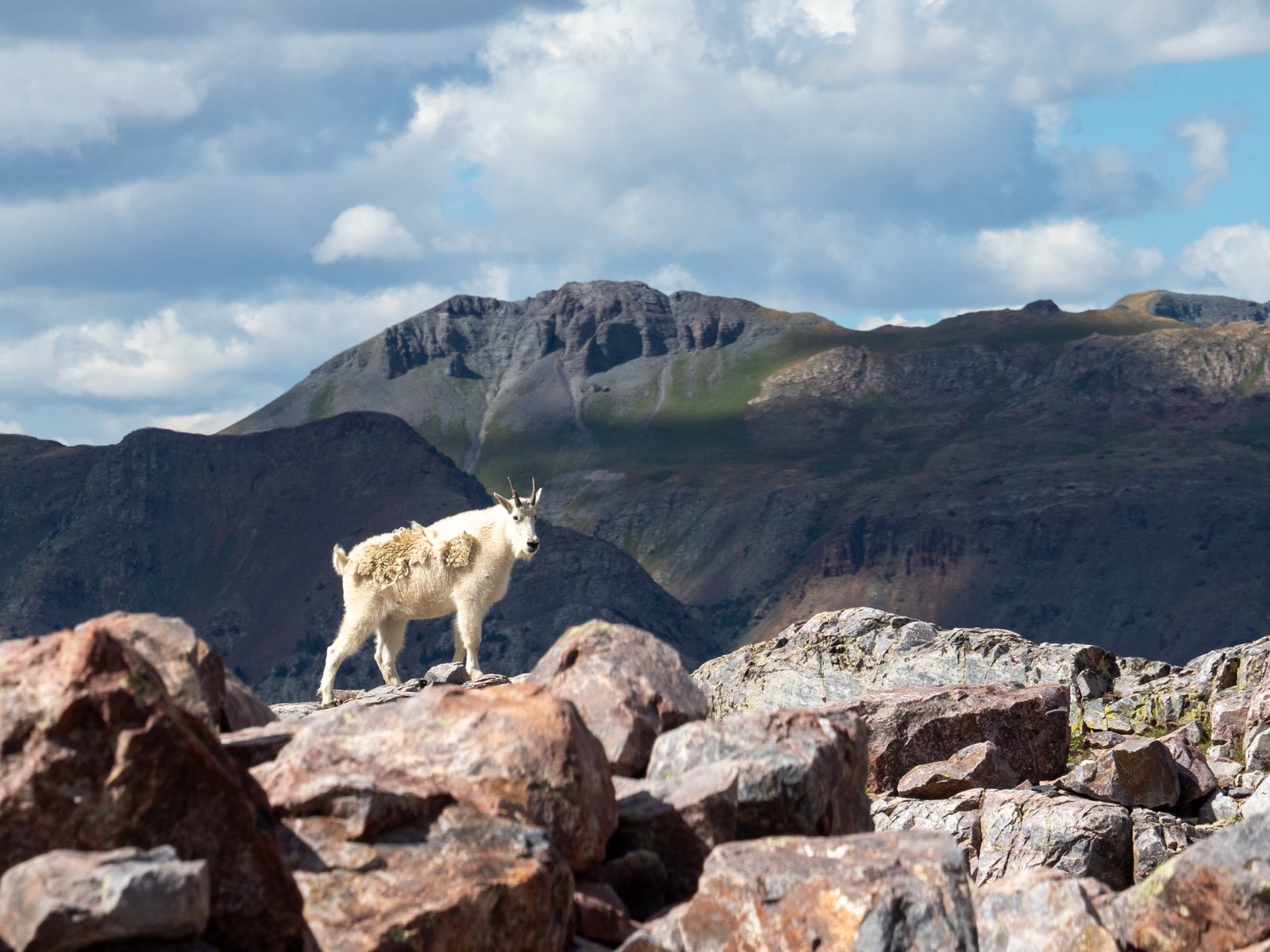 Arrow23 ExportDec25 1010863