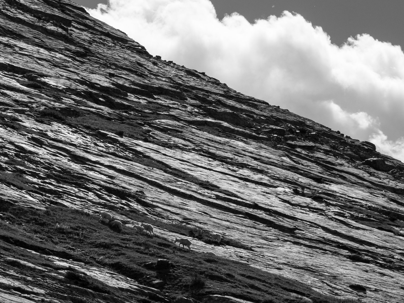 Arrow23 ExportDec25 1010995