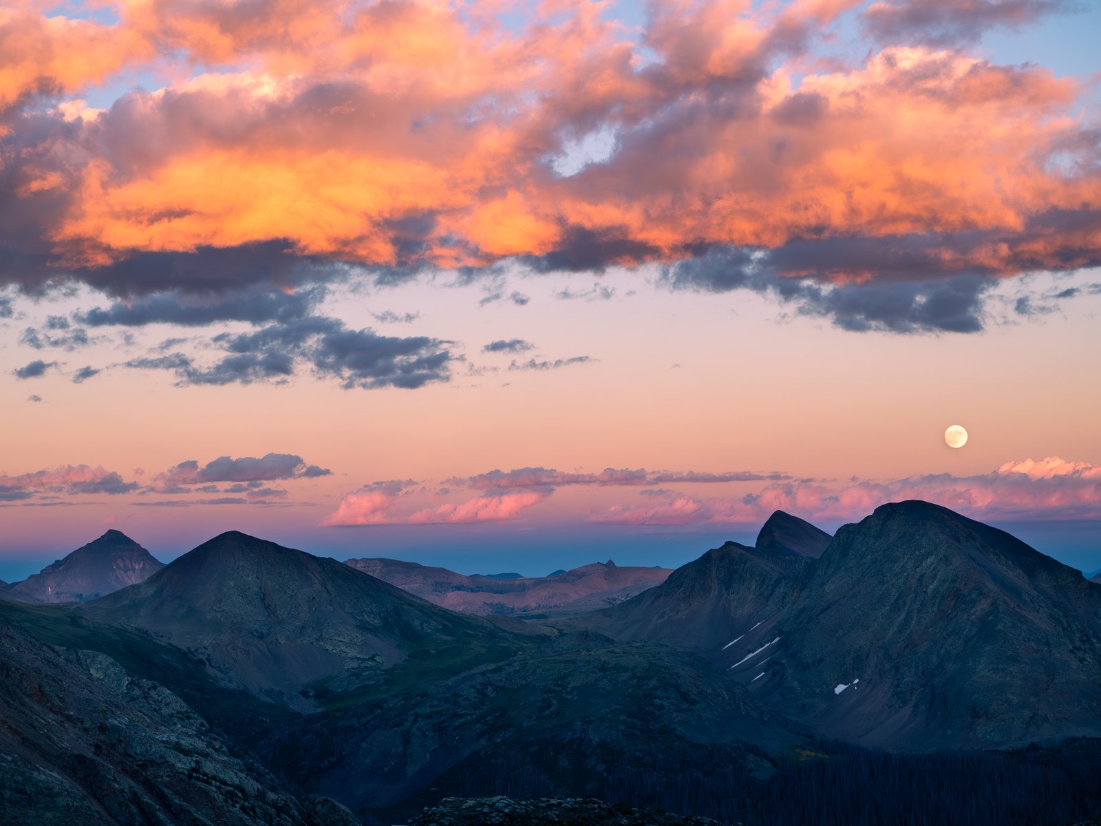 Arrow23 ExportDec25 2