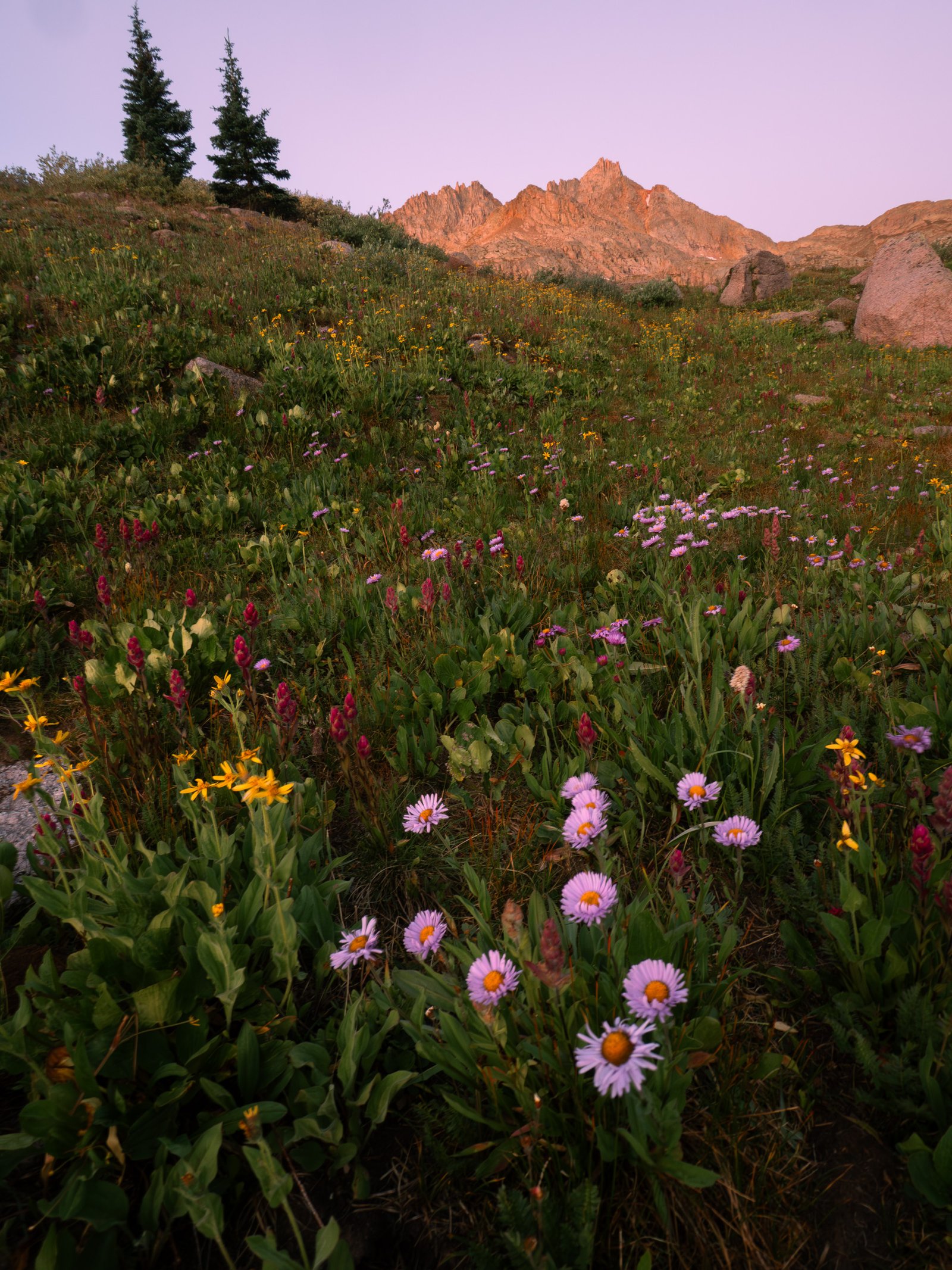 Colorado2560px0825  6