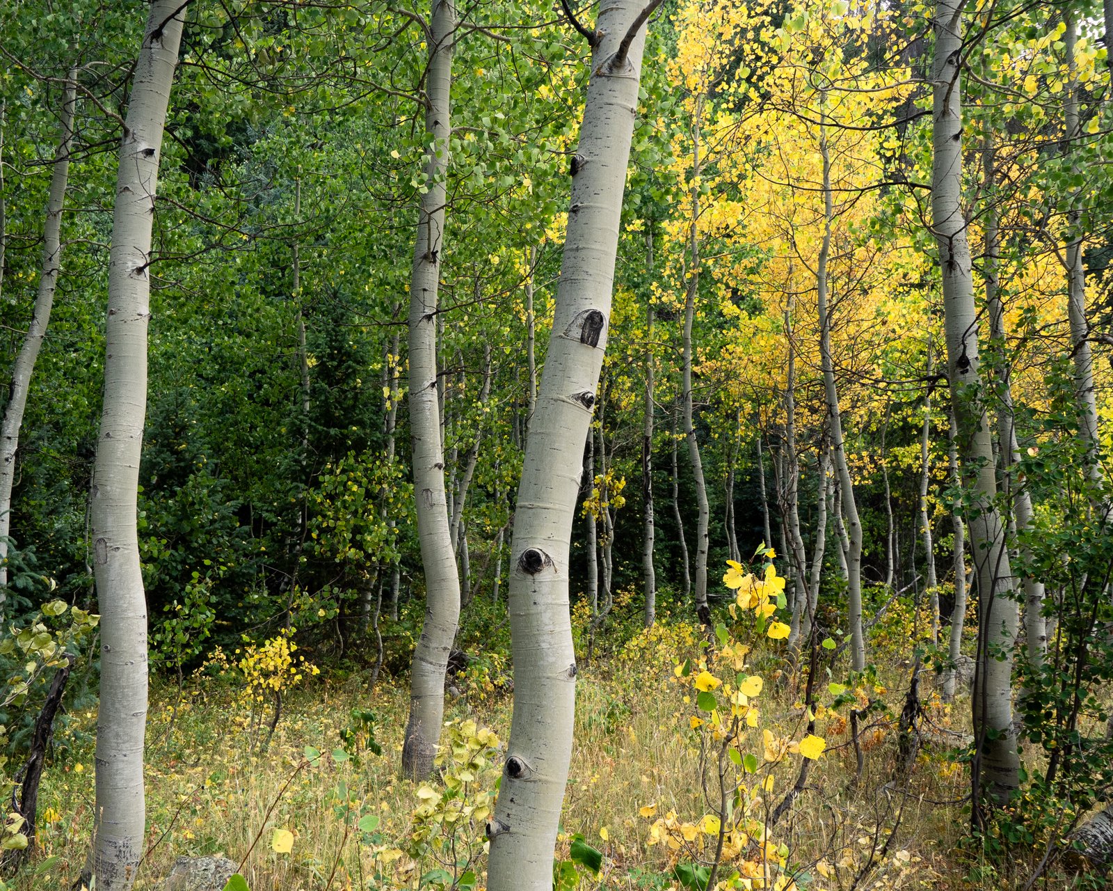 Colorado2560px0825 8215823