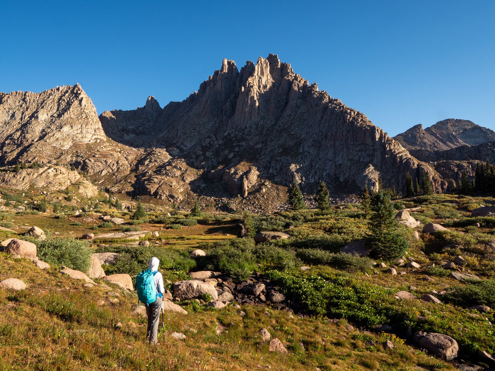 RubyJagged24 8195325