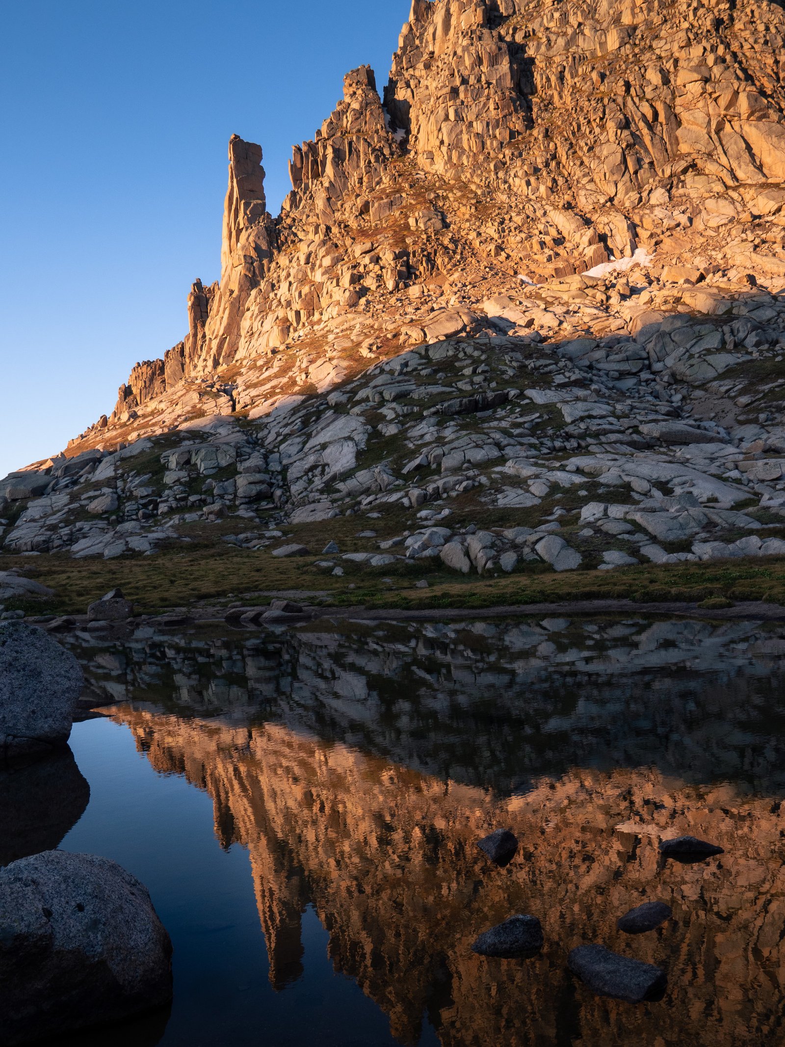 RubyJagged24 8205516 2