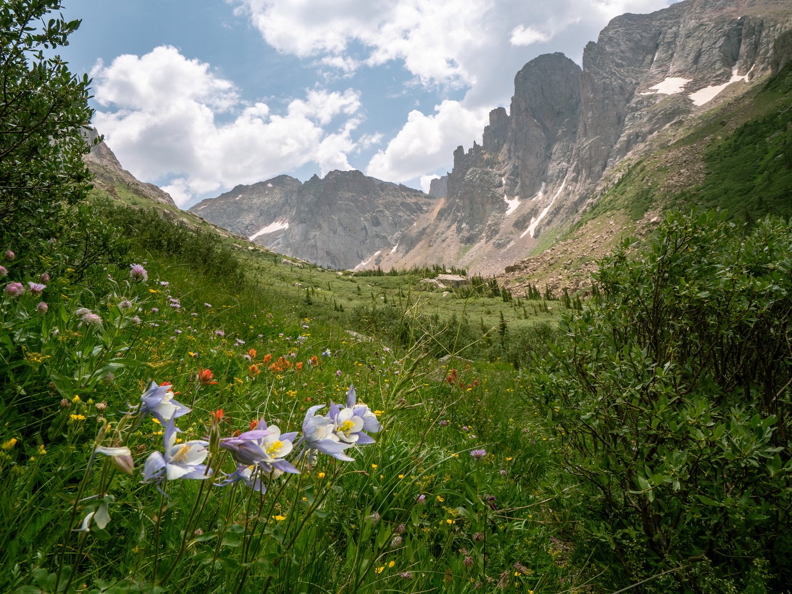 RubyJagged24 7255868 4