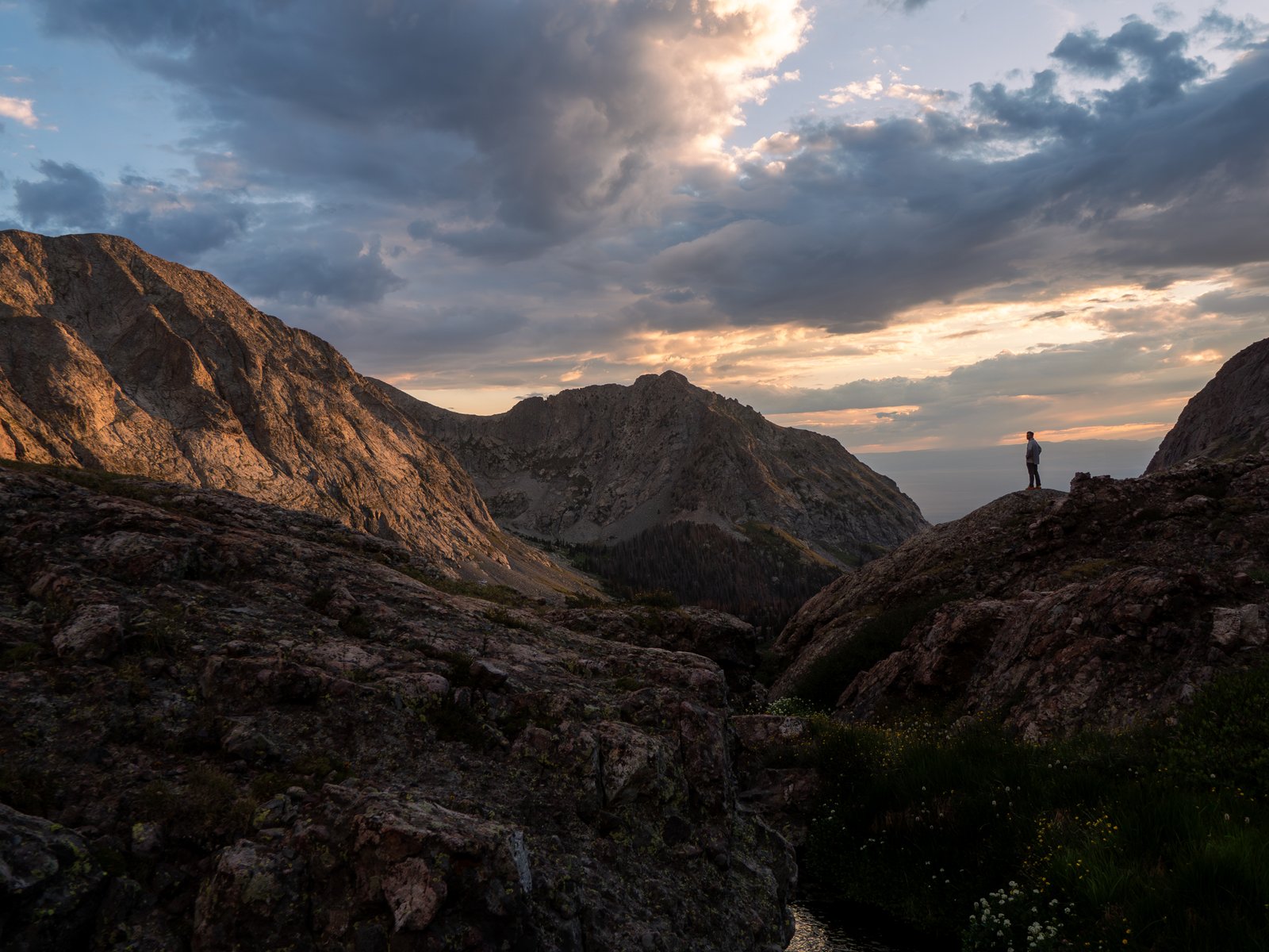 P7208399 Enhanced NR