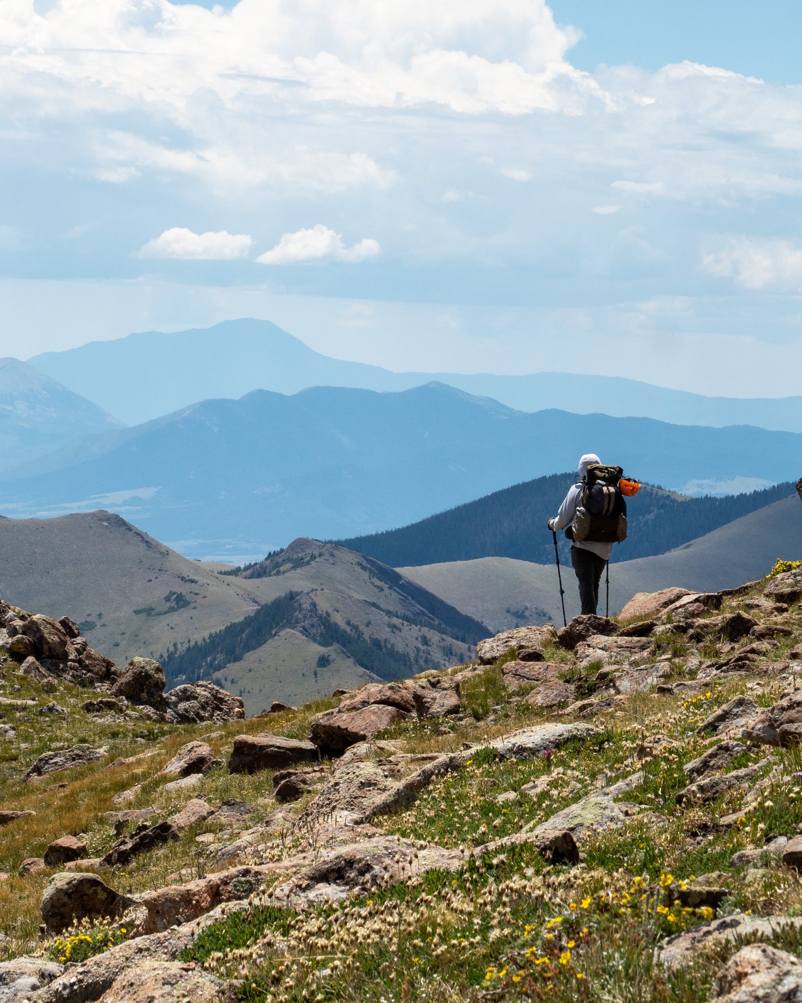 Sangre2025 export091125 1 2