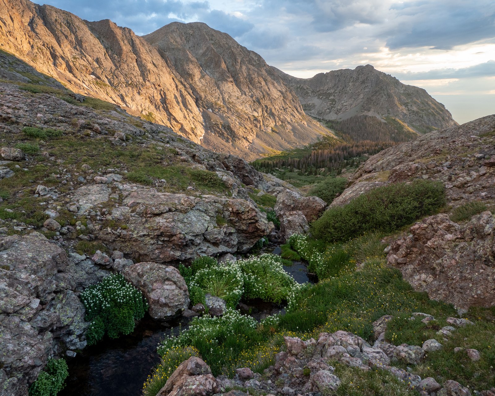 Sangre2025 export091125 11