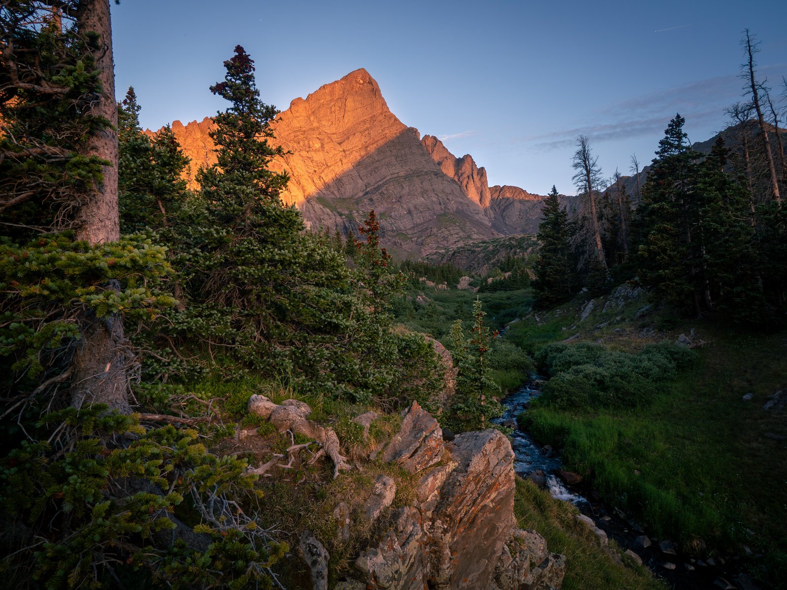 Sangre2025 export091125 4