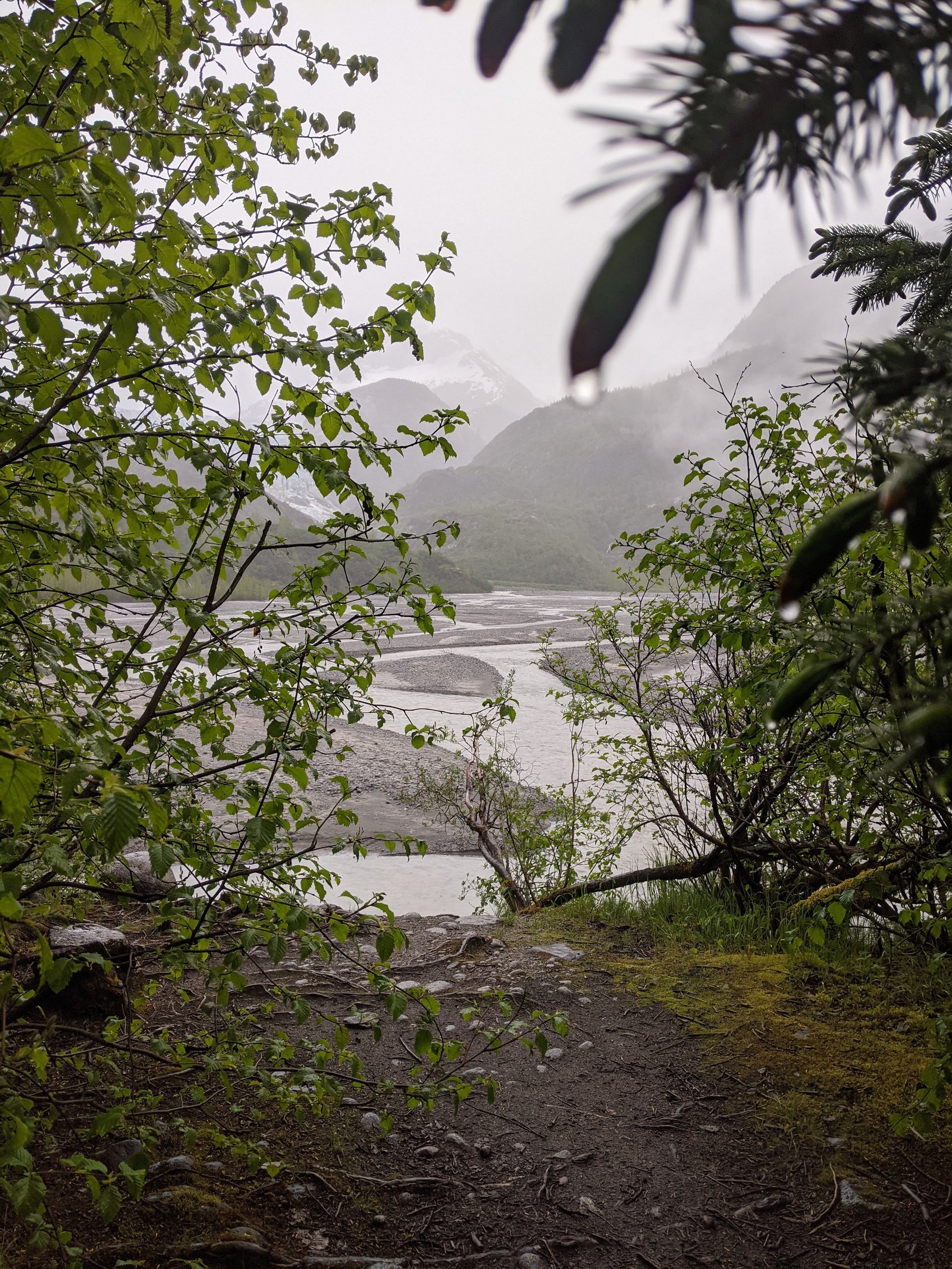 PXL 20210531 213601522