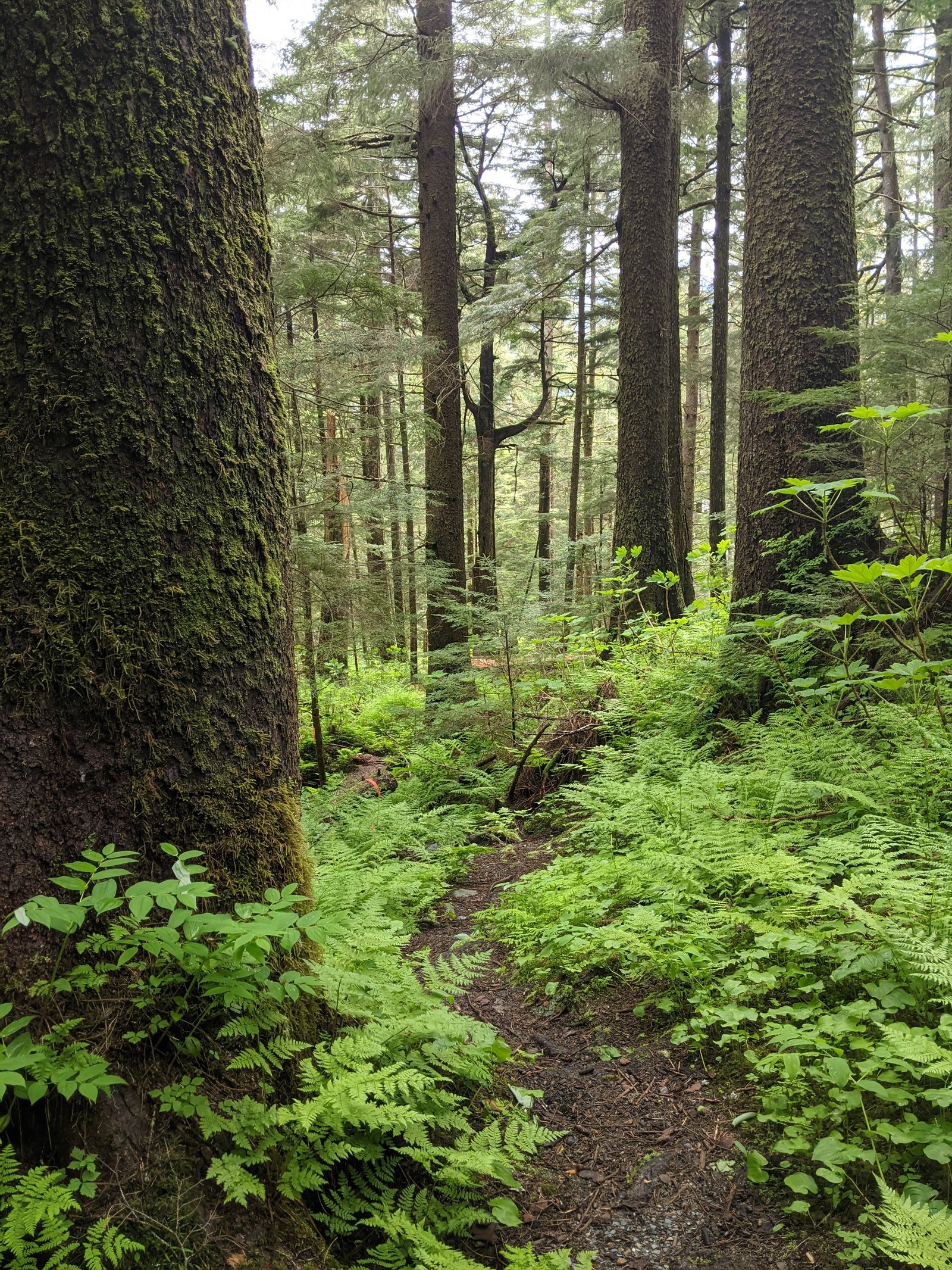 PXL 20210607 002637164