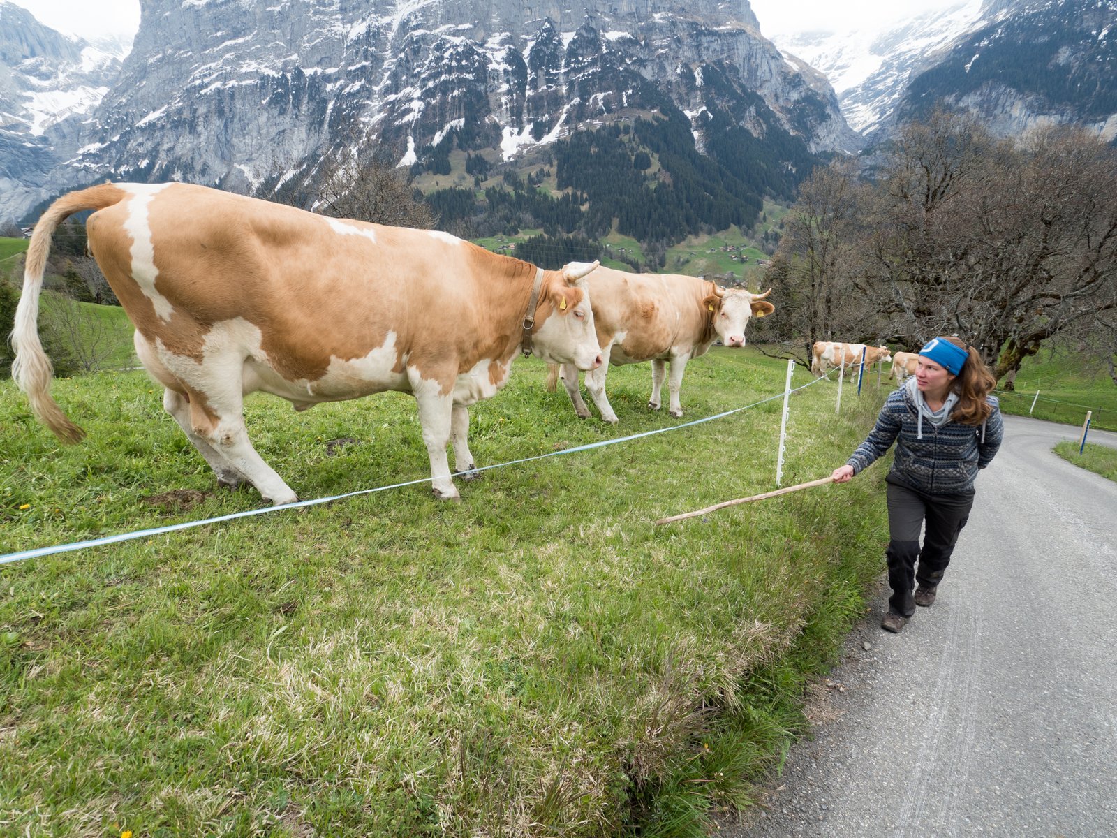 Switzerland2019 0777