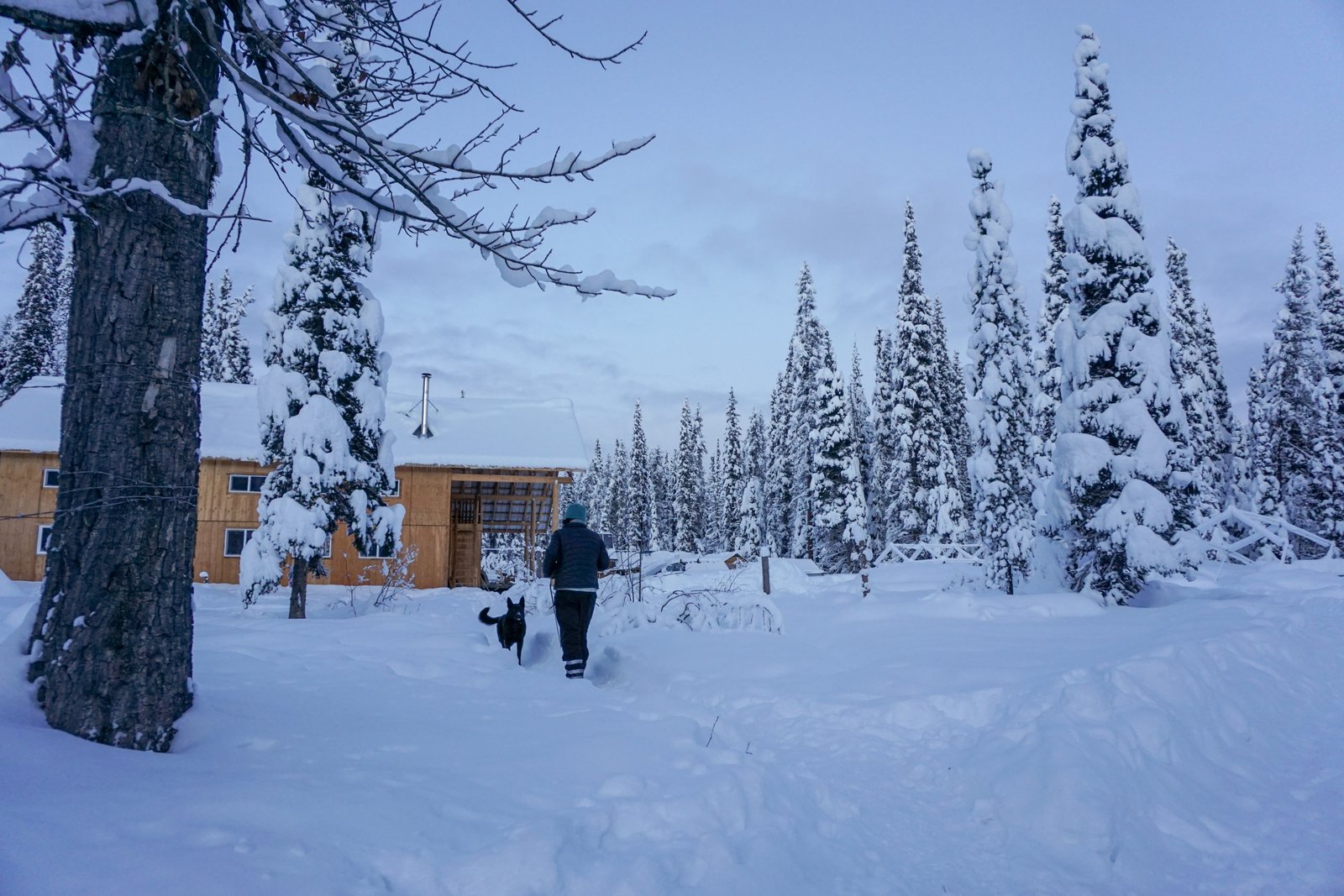 Unistoten2015 export12 25 14