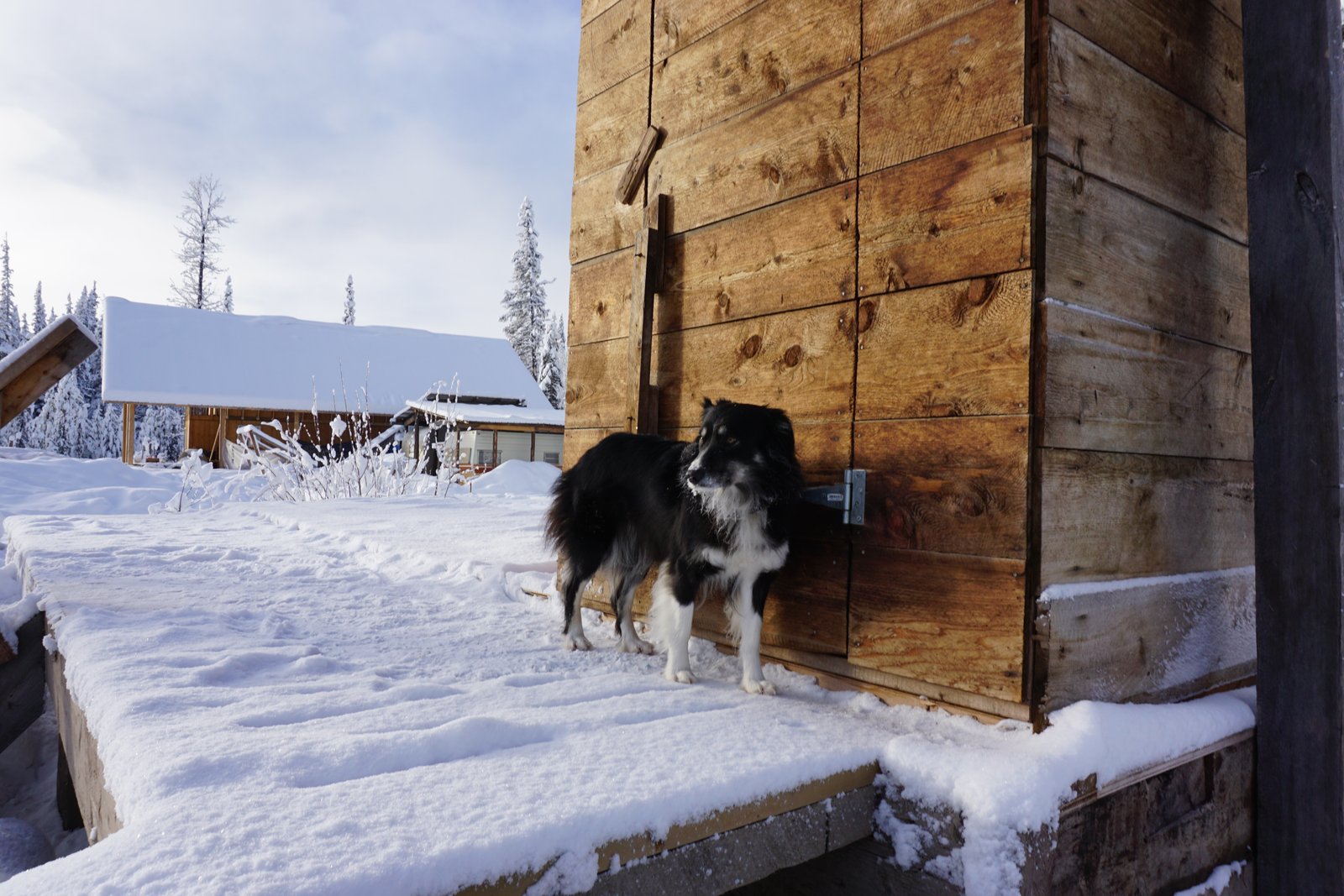 Unistoten2015 export12 25 5