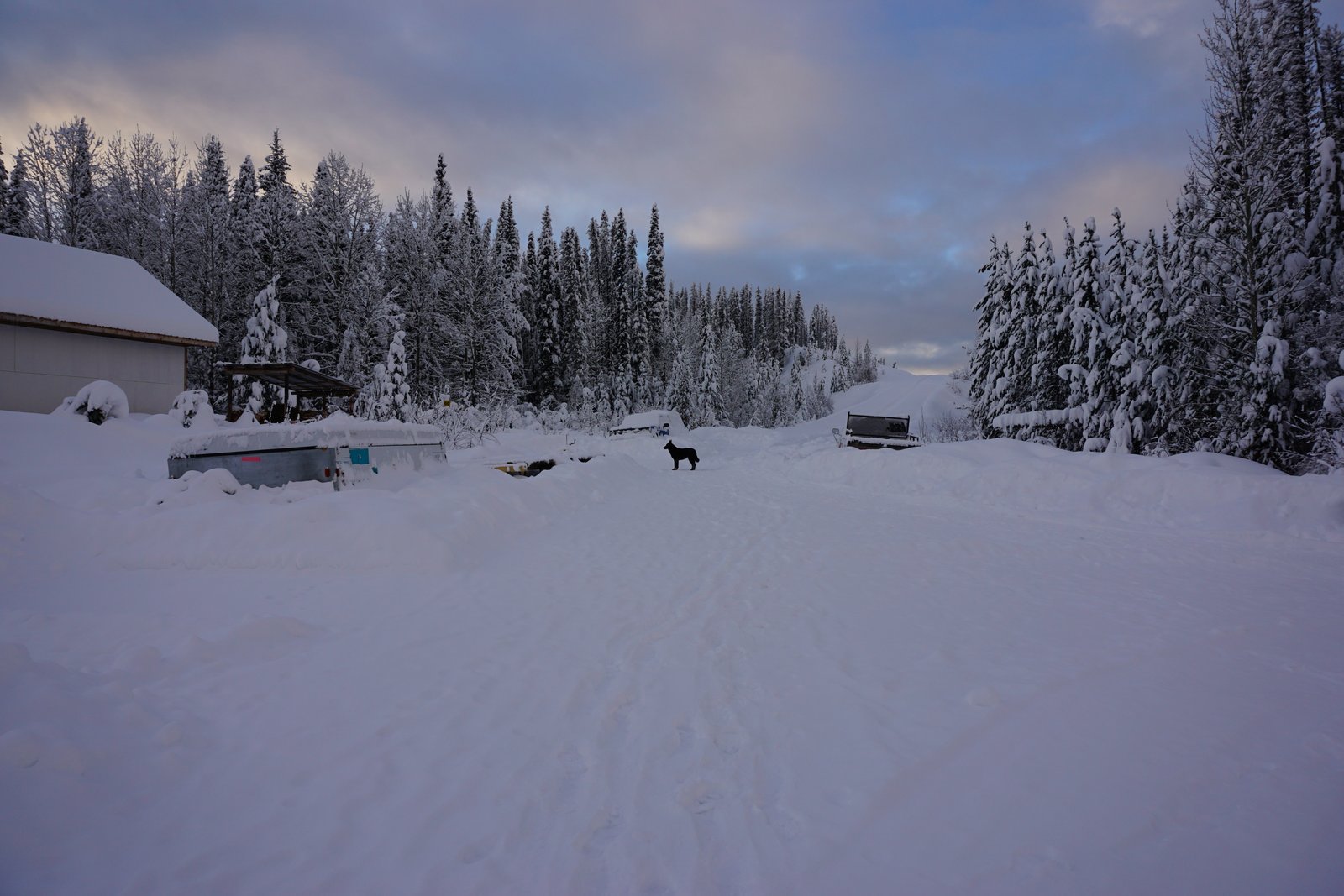 Unistoten2015 export12 25 9