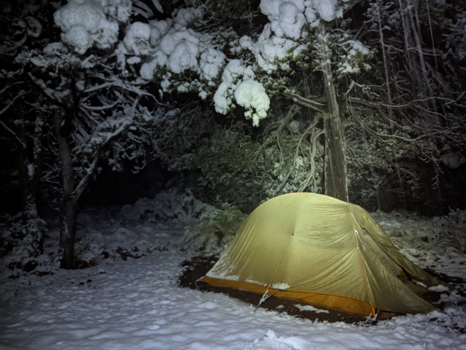 PXL 20210218 124044229.NIGHT