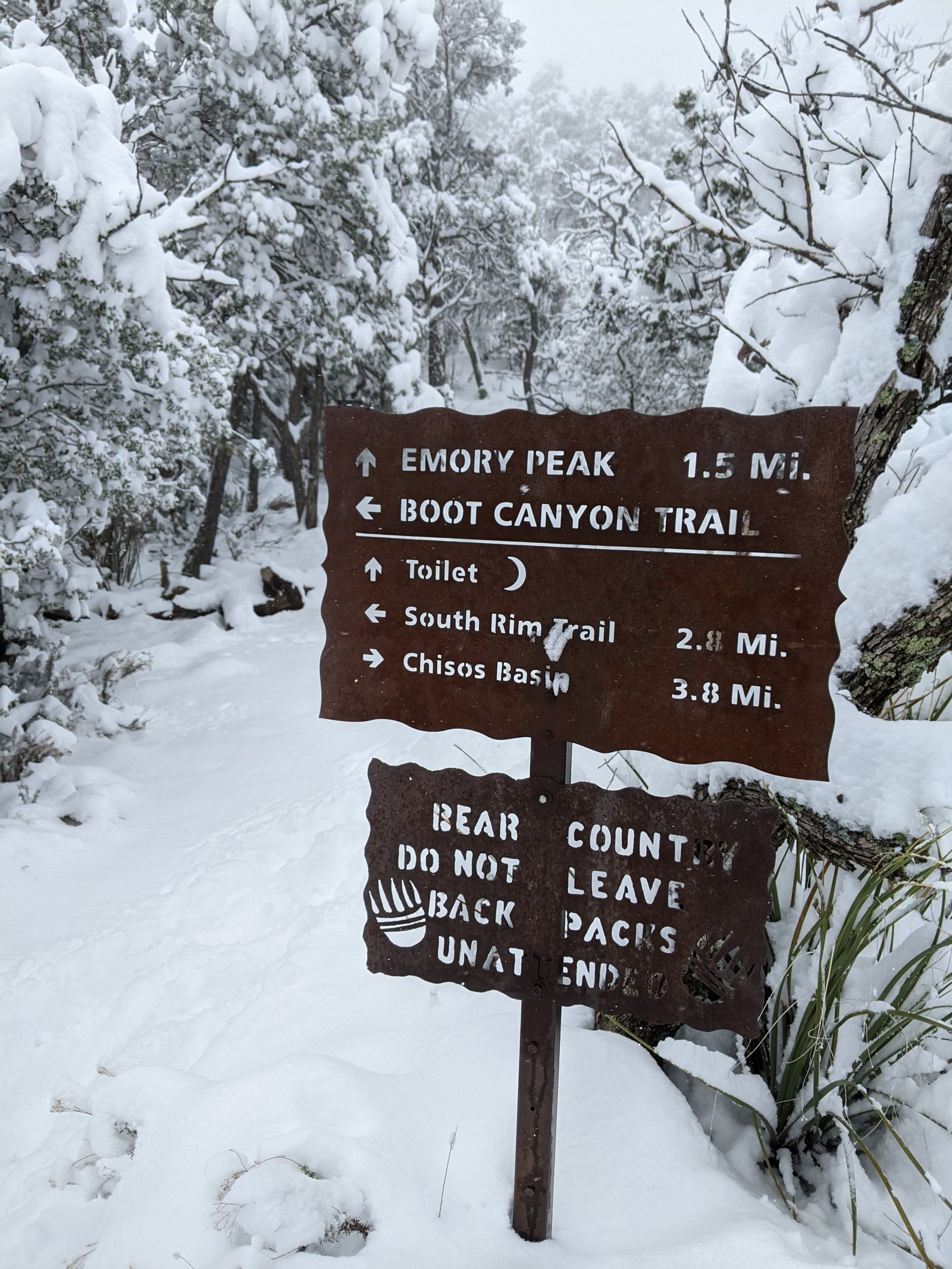 PXL 20210218 161602149