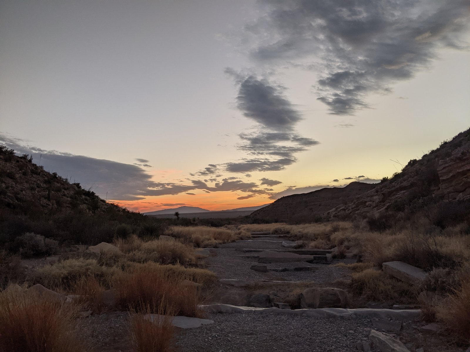 PXL 20210226 010357541