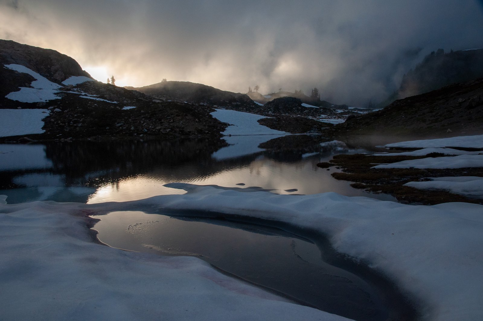 Yellowaster14 export090725 0407