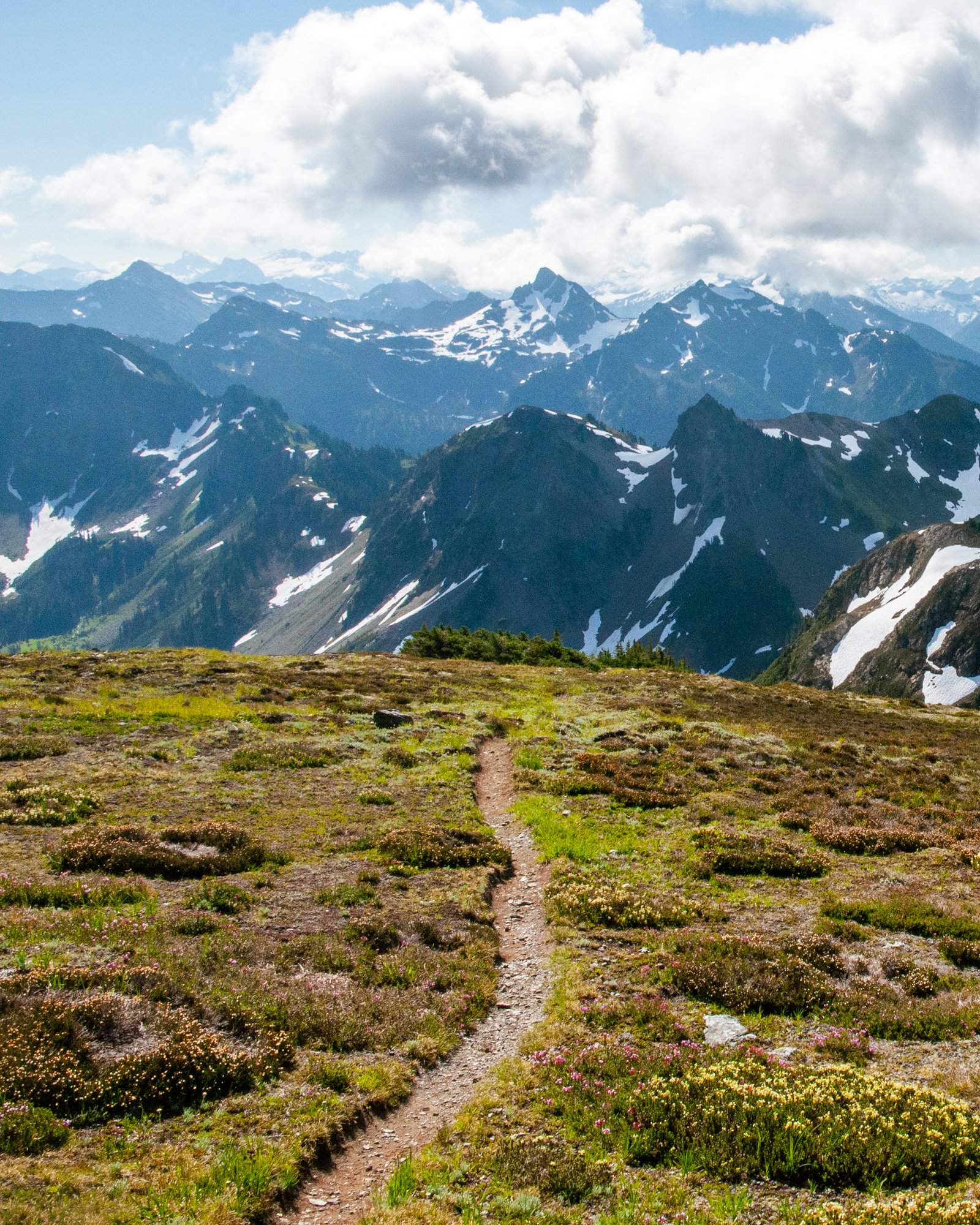 Yellowaster14 export090725 0652