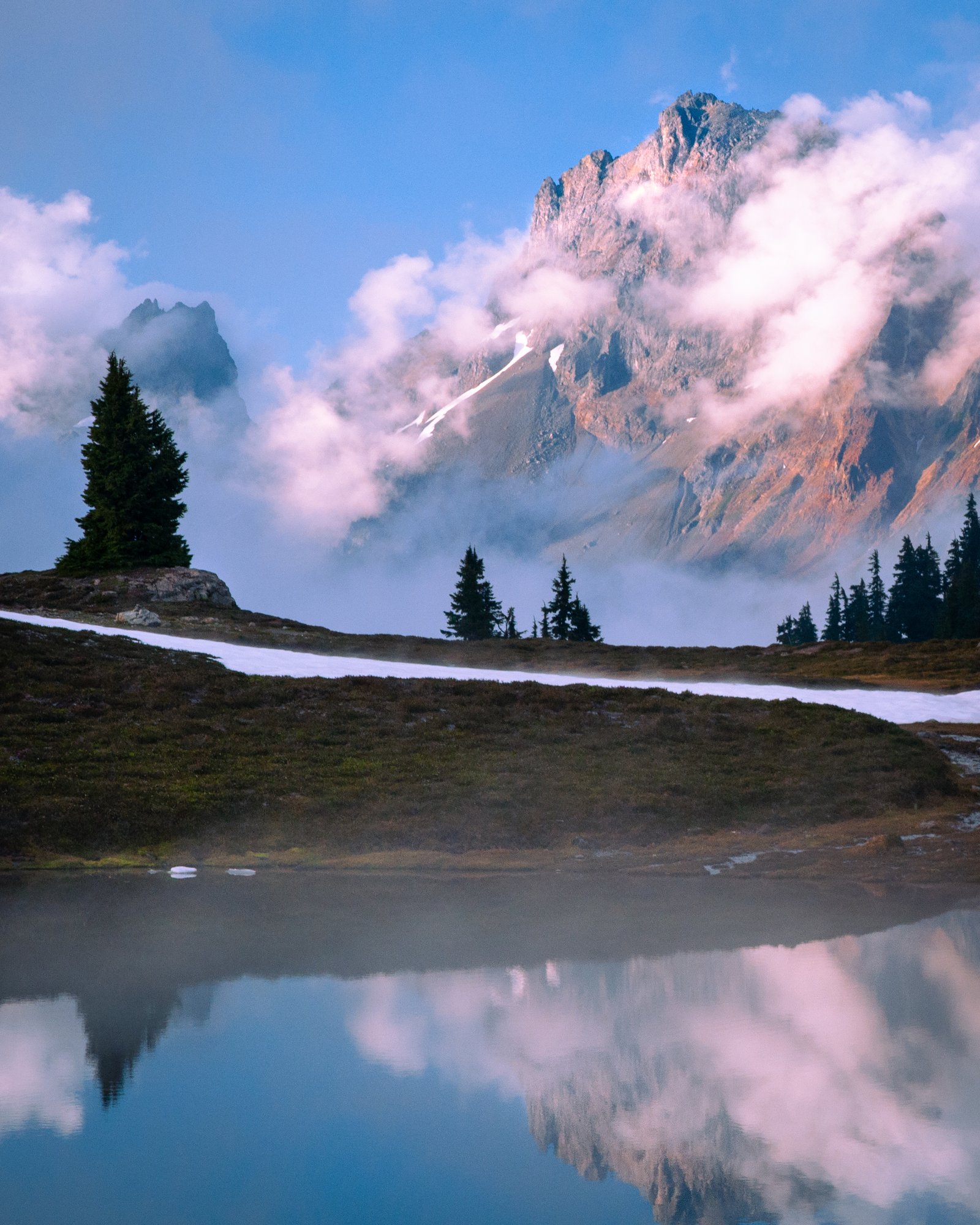 Yellowaster export091125 1 3