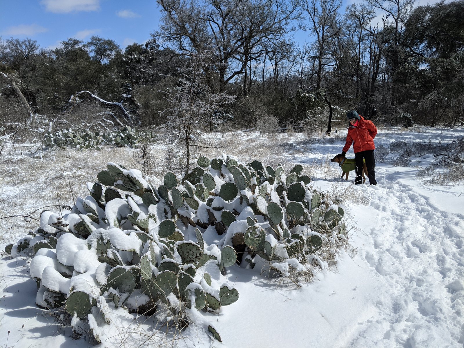 PXL 20210215 182358378