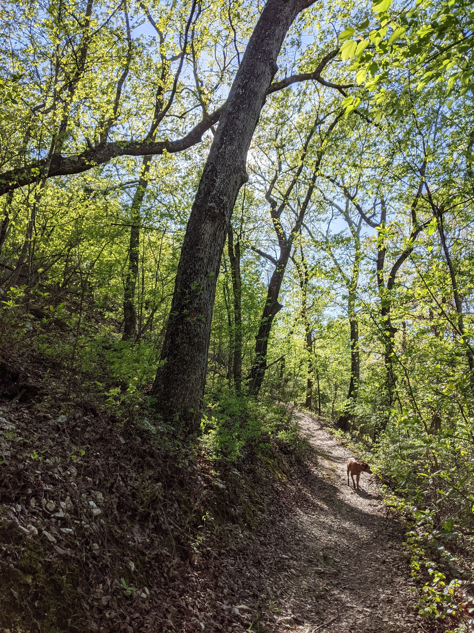 PXL 20210410 220847572