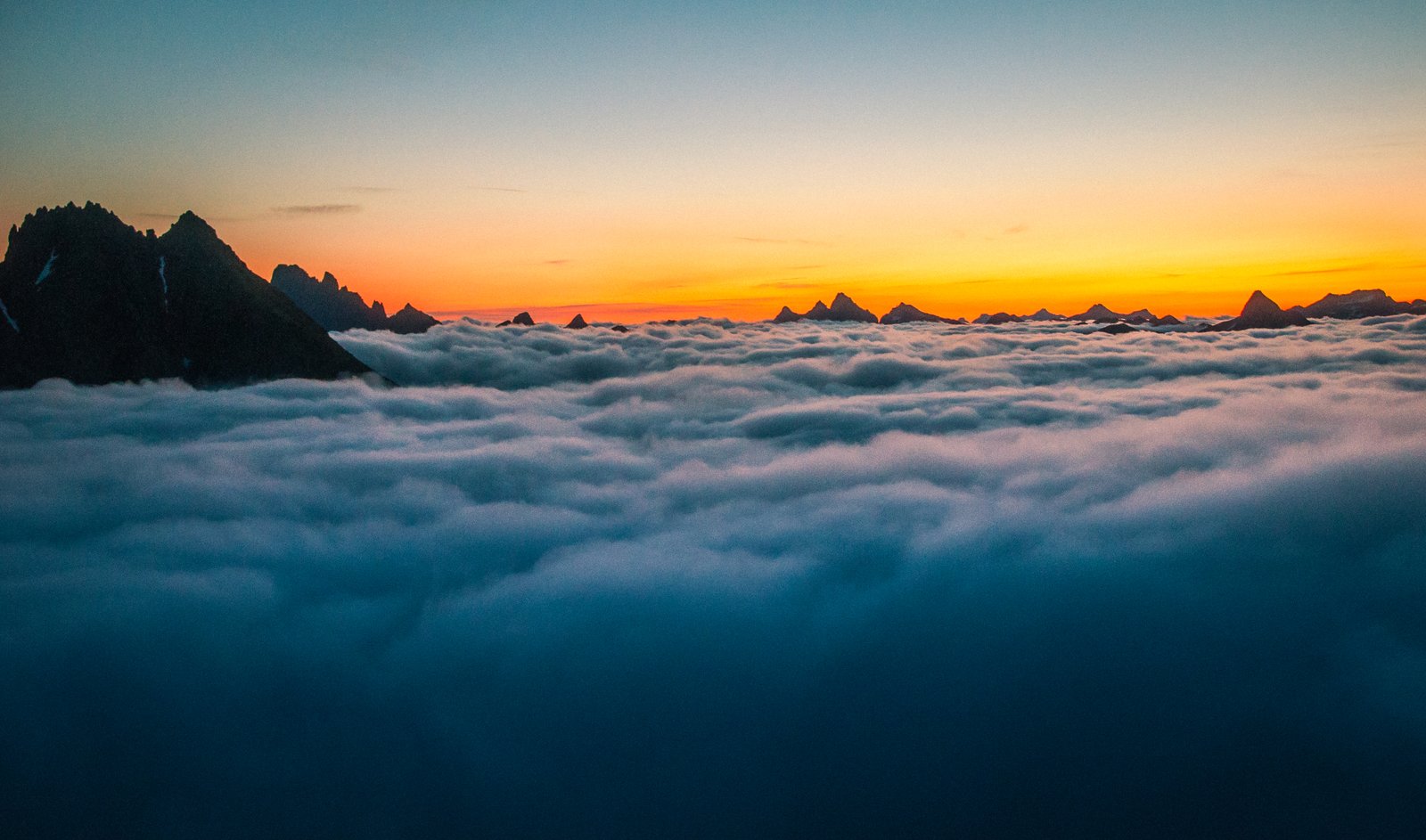 9517045572 bc3928151a o